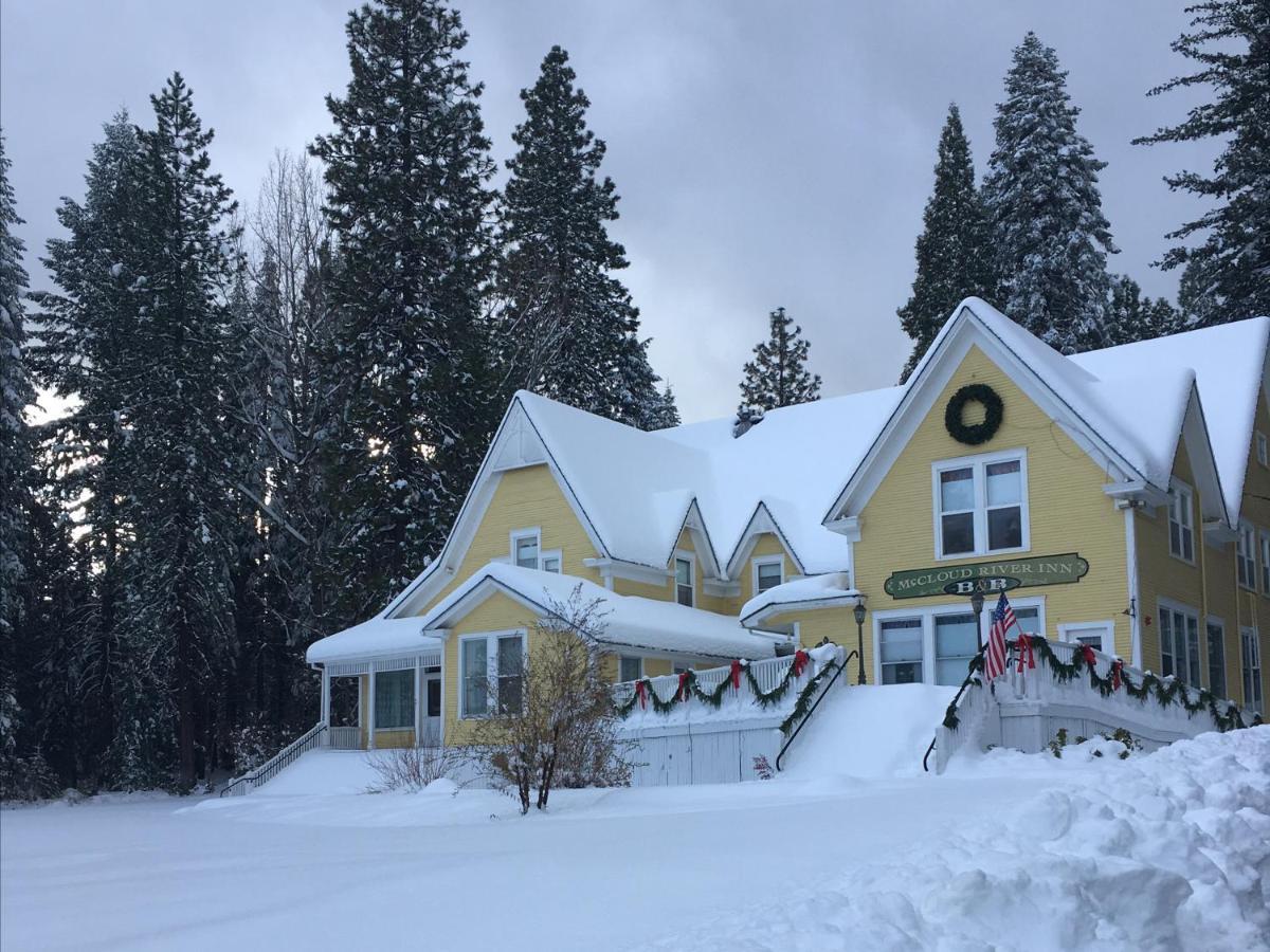 Mccloud River Bed And Breakfast المظهر الخارجي الصورة